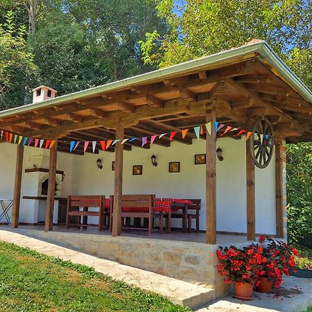 Старият Дюкянь Villa Elena Exterior photo