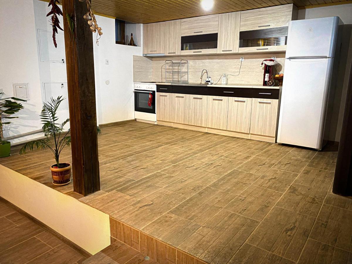 Старият Дюкянь Villa Elena Exterior photo