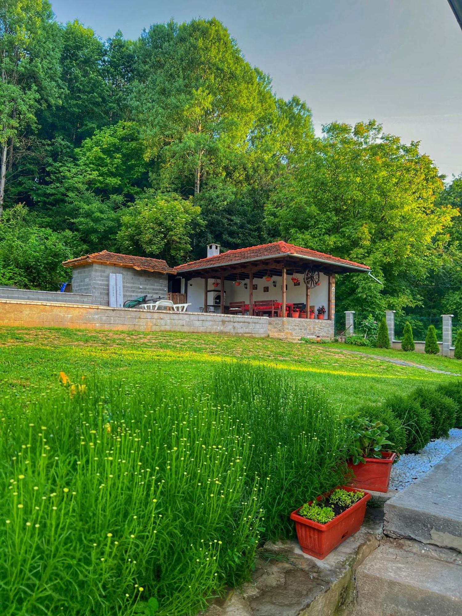 Старият Дюкянь Villa Elena Exterior photo